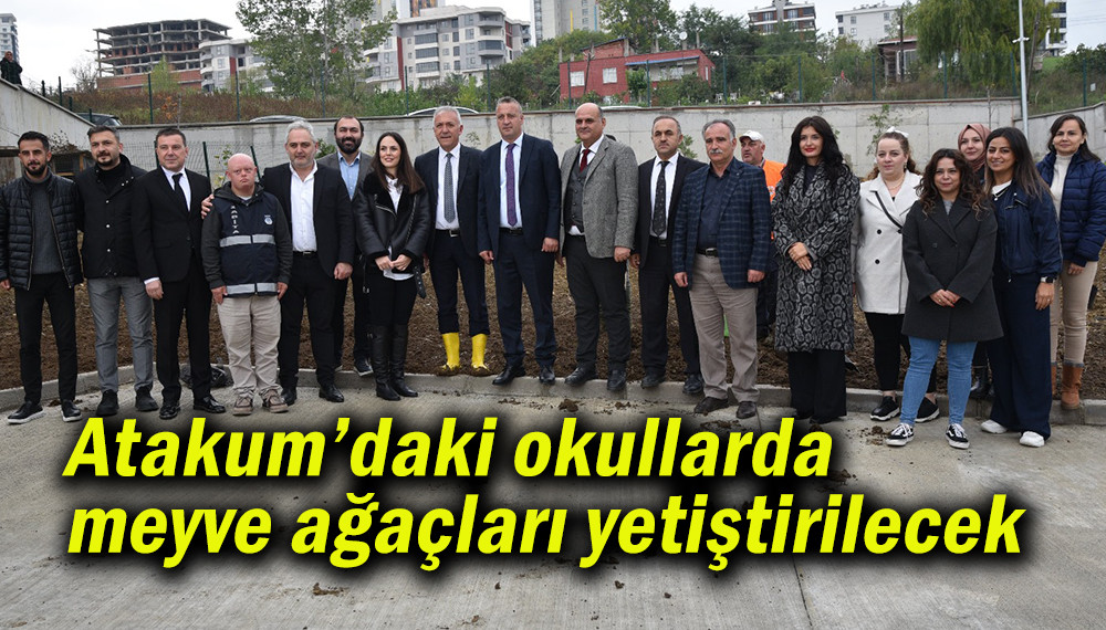 Atakum’daki okullarda  meyve ağaçları yetiştirilecek 