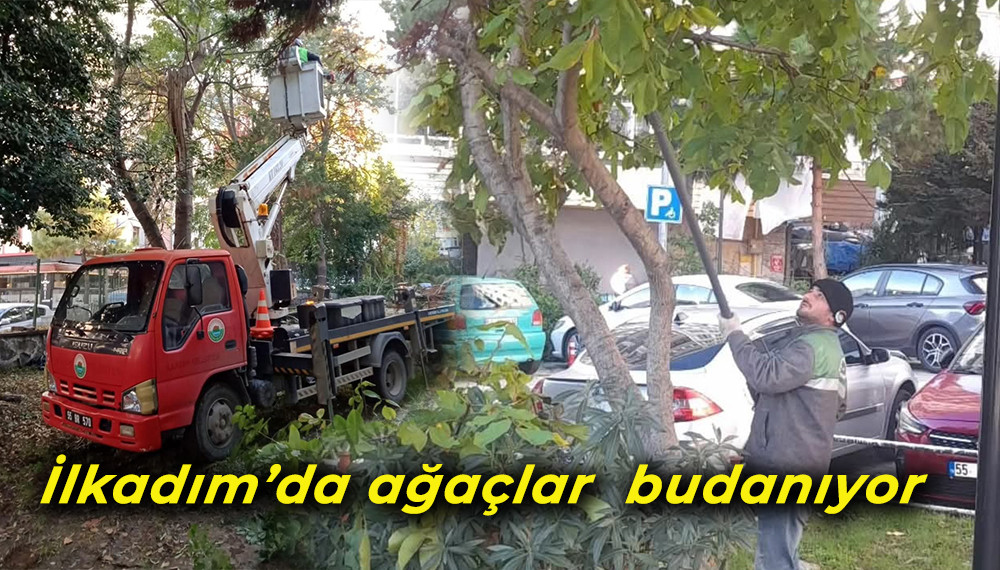 İlkadım’da ağaçlar  budanıyor