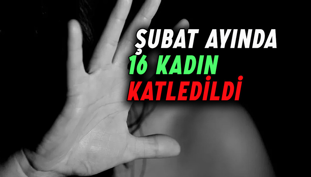  Şubat ayında 16 kadın katledildi , 23 kadın ölü bulundu 